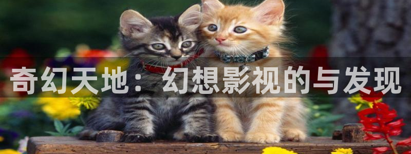 八戒八戒神马影院在线资源10：奇幻天地：幻想影视的与发现